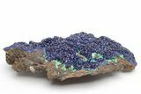 Sparkling Azurite and Malachite Crystal Association - China #217712-1